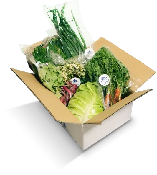 鎌倉山 千葉農園の旬の野菜