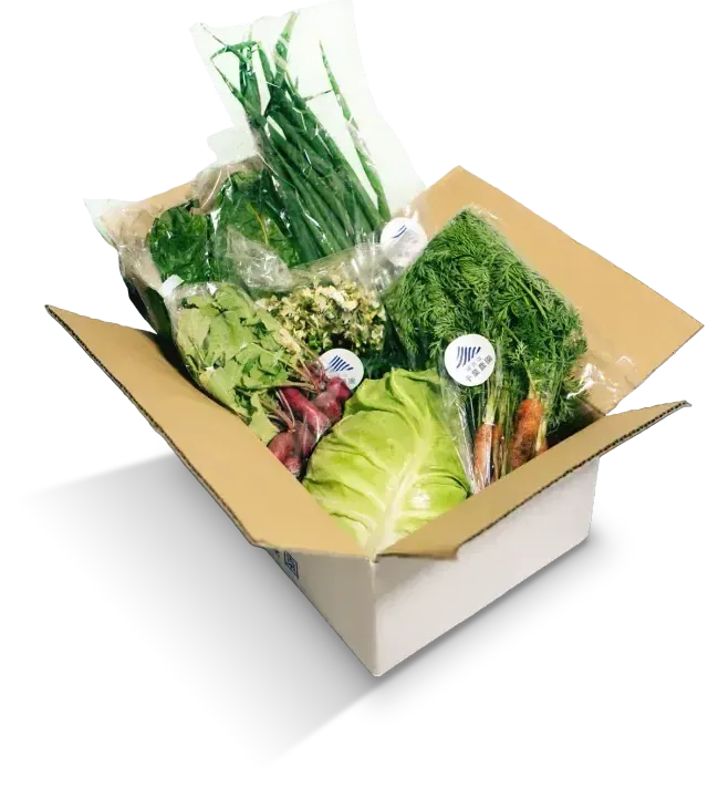 鎌倉山 千葉農園の旬の野菜